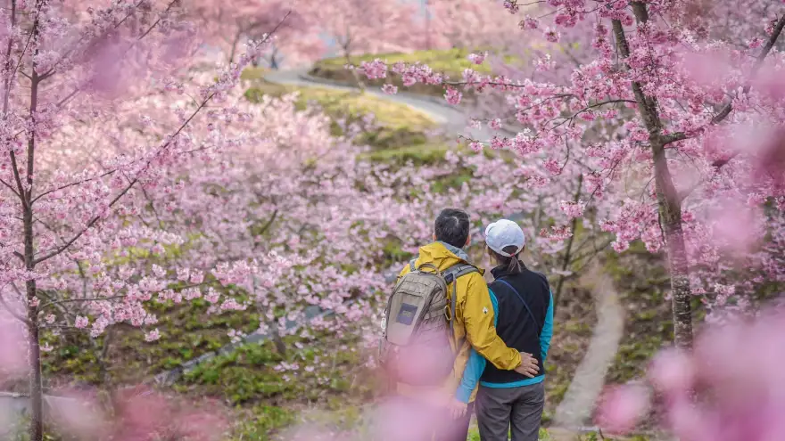 Du lịch Tết 2026 – Đề cao giá trị trải nghiệm và sức khỏe bền vững